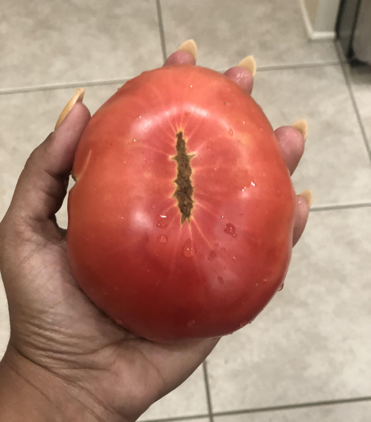 “The tomato we grew looks like Sauron’s eye.”