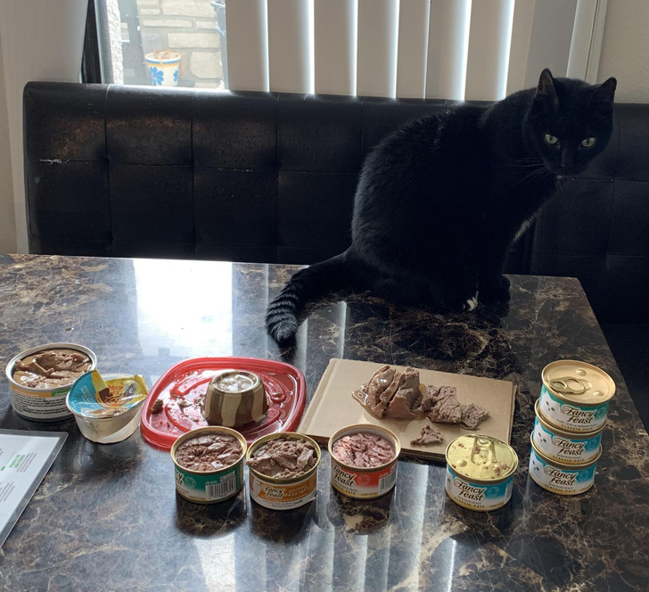 “My cat’s favorite flavor was out of stock, so I bought $10 worth of other ones in hopes she would eat them. She didn’t.”
