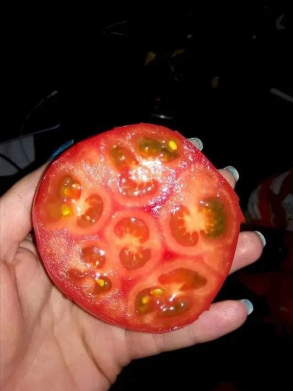 fascinating things --  tomato