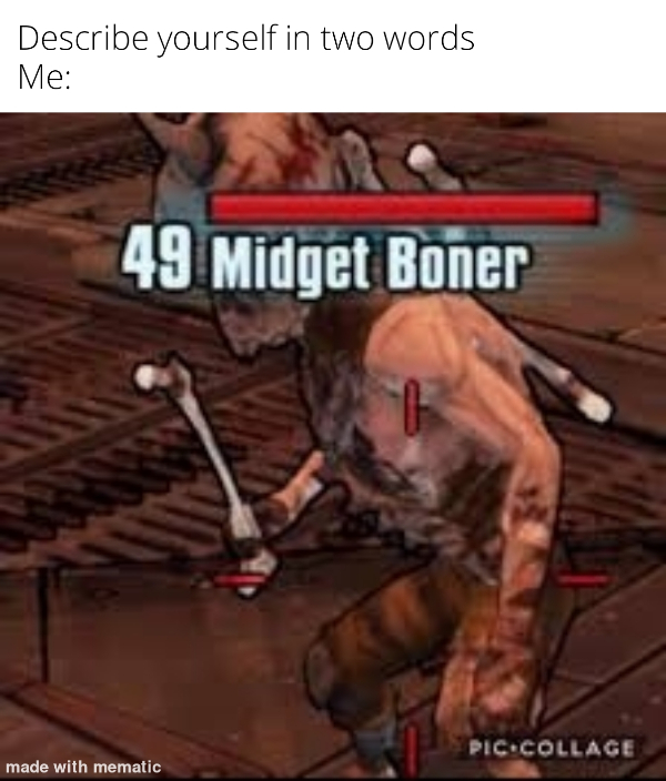 wtf posts - Borderlands 2 - Describe yourself in two words Me 49 Midget Boner Pic.Collage made with mematic