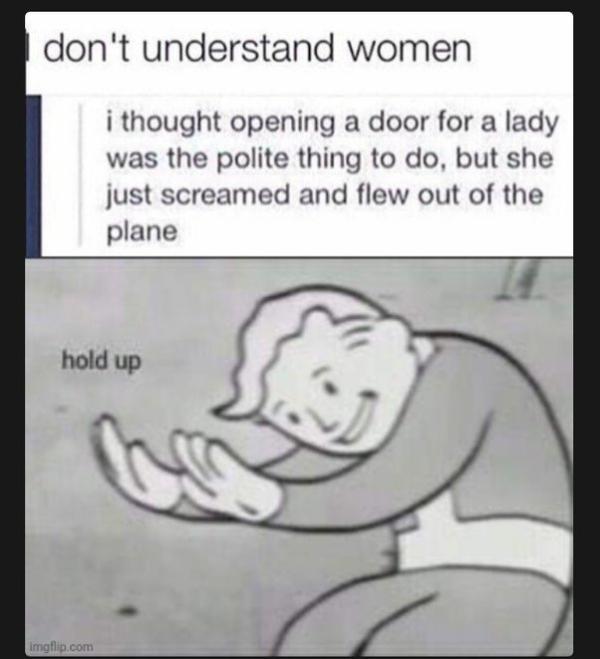 wtf posts - hold up emoji - don't understand women i thought opening a door for a lady was the polite thing to do, but she just screamed and flew out of the plane hold up imgflip.com