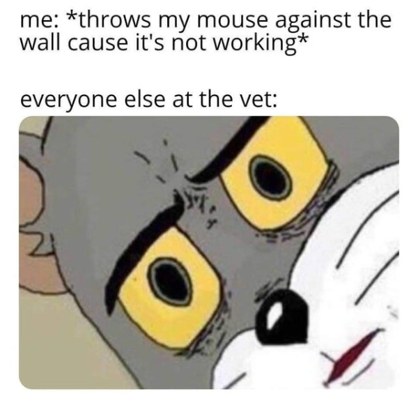 wtf posts - 2019 dank memes memes - me throws my mouse against the wall cause it's not working everyone else at the vet