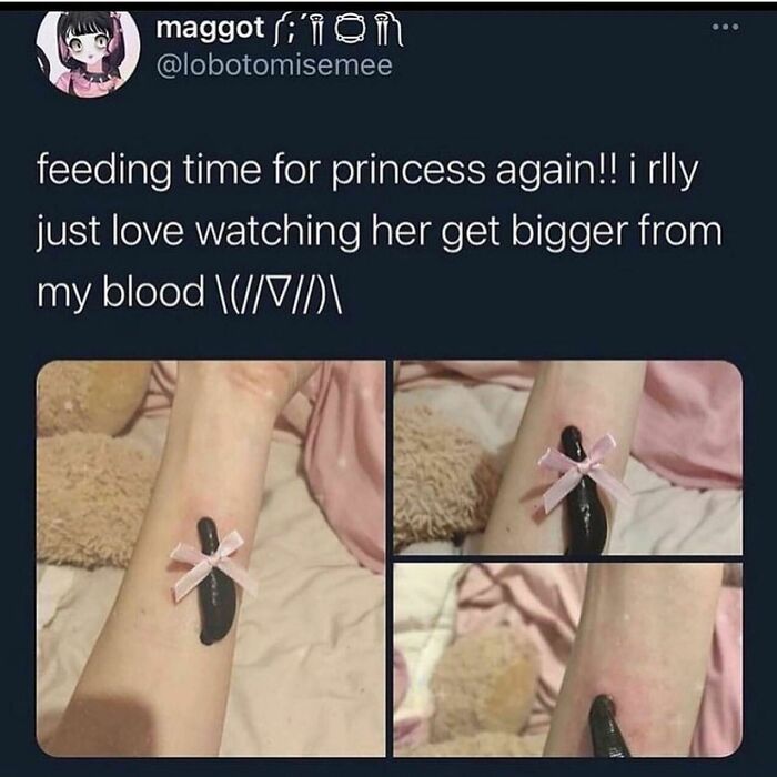 wtf pics - cursed images - hand - maggot ;'i in feeding time for princess again!! i rlly just love watching her get bigger from my blood \\D