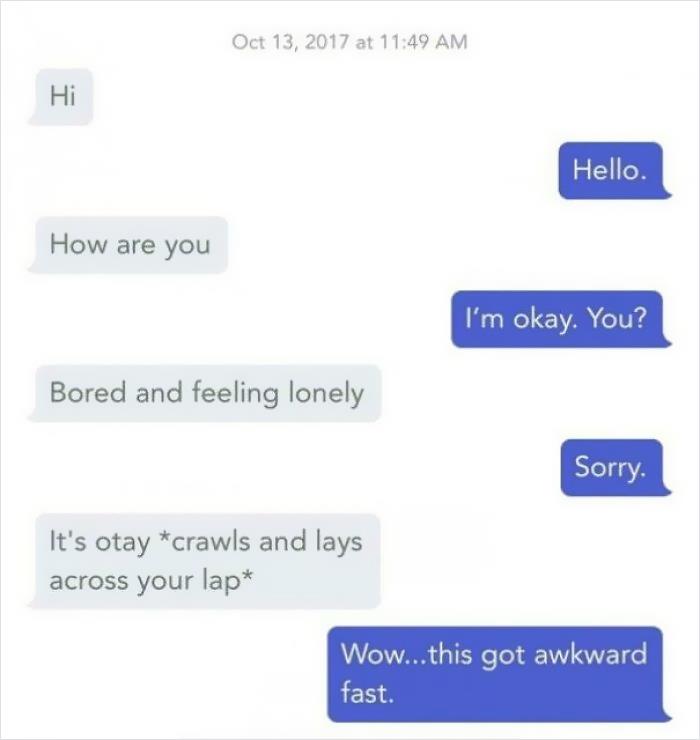 cringeworthy pics and texts - cringe asterisks - at Hi Hello. How are you I'm okay. You? Bored and feeling lonely Sorry. It's otay crawls and lays across your lap Wow...this got awkward fast.