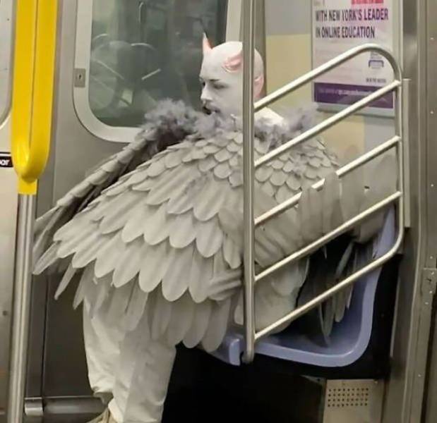 29 WTF Things Seen On The Subway.