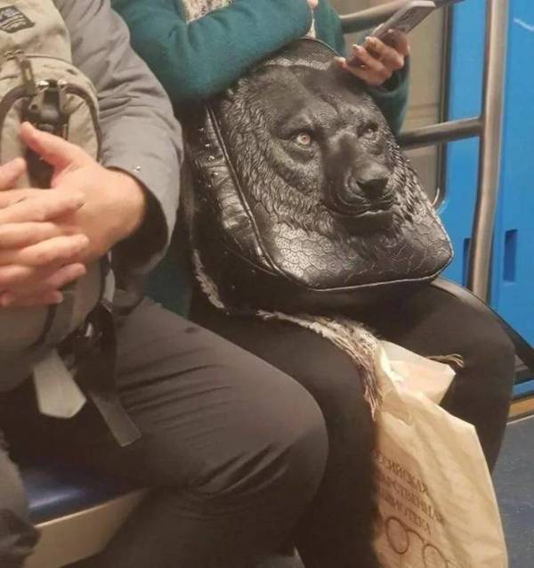 29 WTF Things Seen On The Subway.