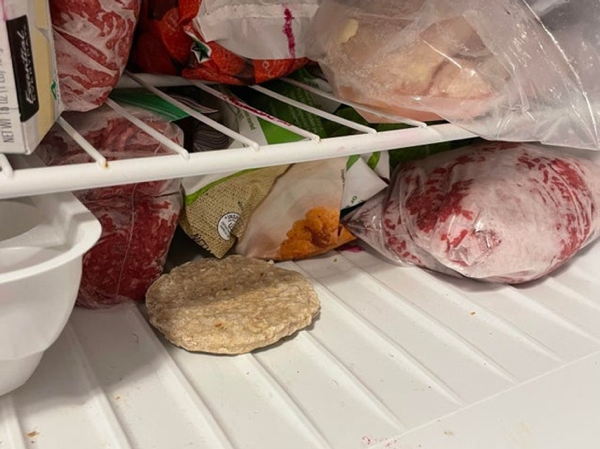 Asked my GF to put my frozen sausage patty back in the freezer for me