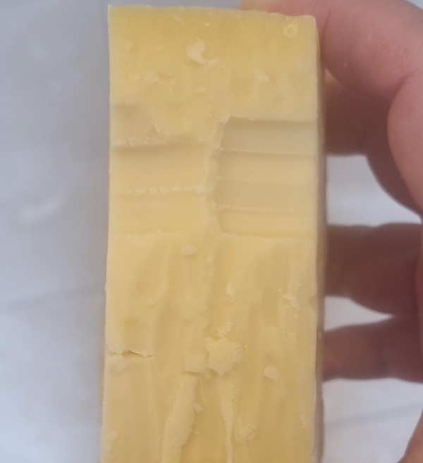 Girlfriend decided that after being done grating cheese, it would be a good idea to just take a bite out of a block of cheese.