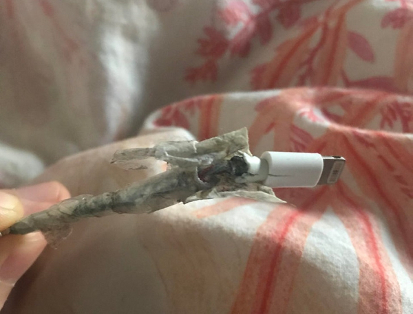 My gfs iPhone charging cable which she refuses to change because “it works”