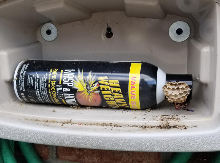 “Wasps made a nest on my wasp spray bottle.”