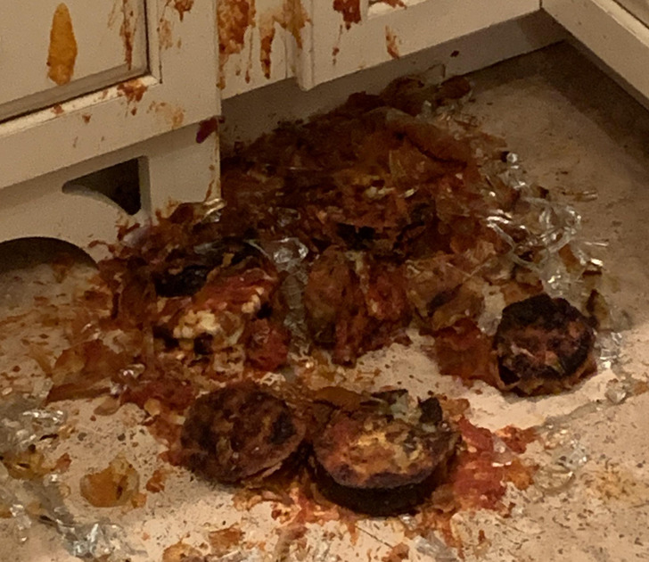 “Rushing to take dinner out of the oven, was so excited, lost my grip. RIP, eggplant parm.”