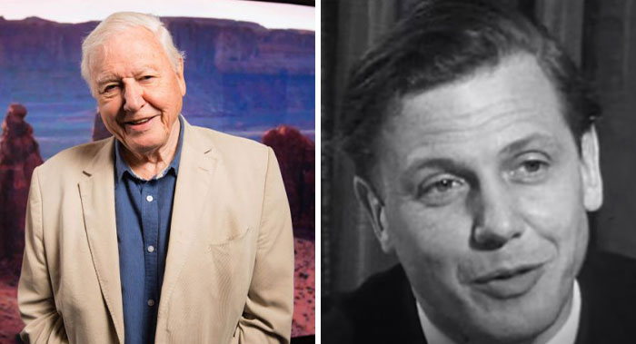 famous people when they were younger - David Attenborough
