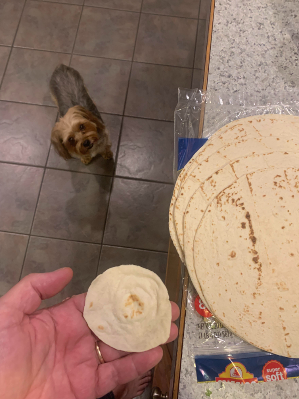 “One of my 8 tortillas.”