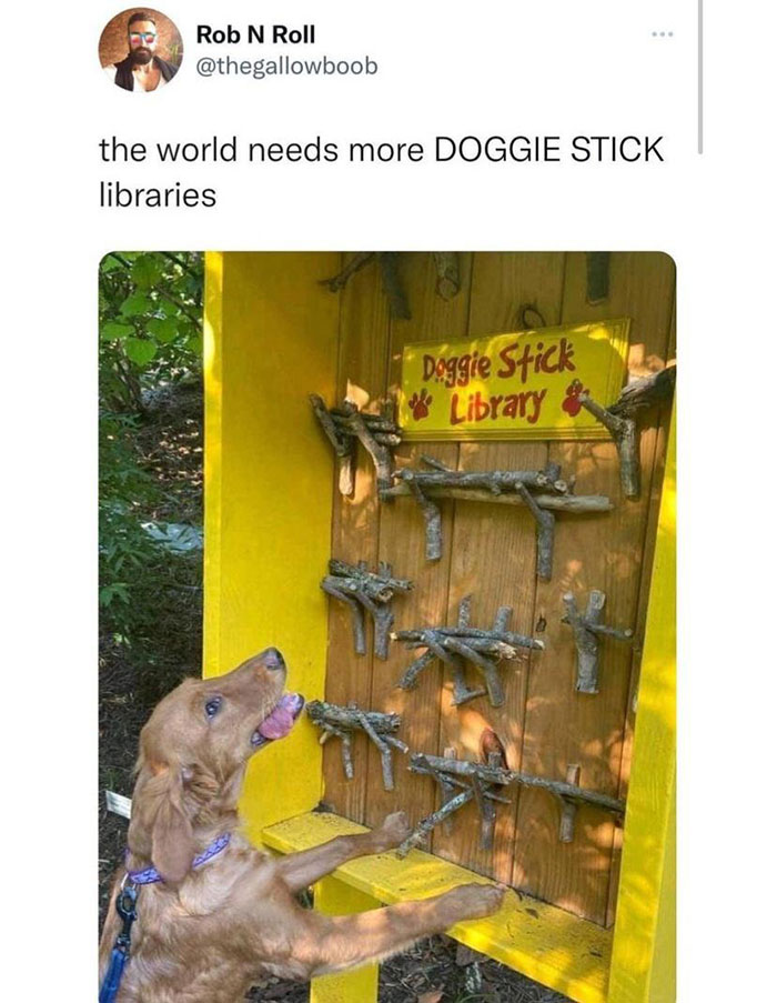 wholesome pics and memes - dog stick library - Rob N Roll the world needs more Doggie Stick libraries Doggie Stick Library