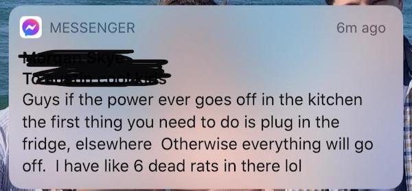 roommates from hell - media - Messenger Om ago Tez Guys if the power ever goes off in the kitchen the first thing you need to do is plug in the fridge, elsewhere Otherwise everything will go off. I have 6 dead rats in there lol