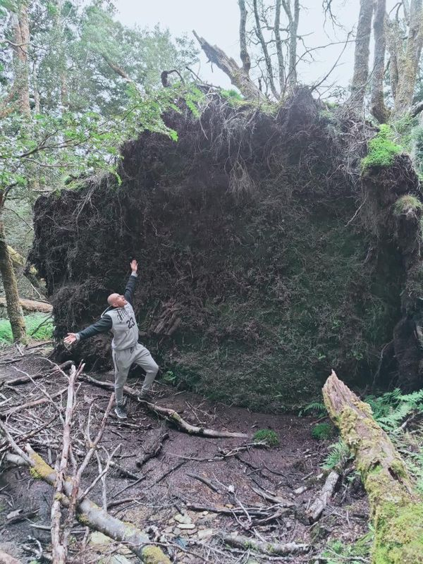 “Me and this uprooted tree. I’m 6’2″.”