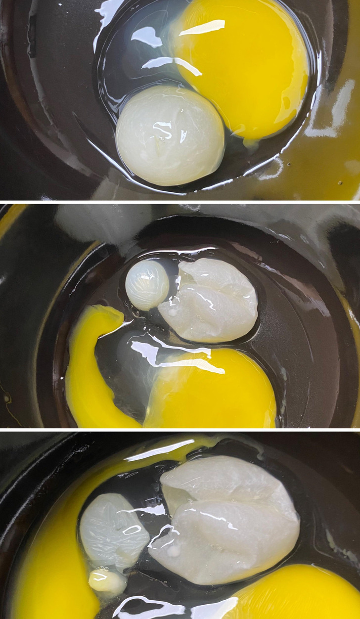 people who hit the food lottery - egg yolk