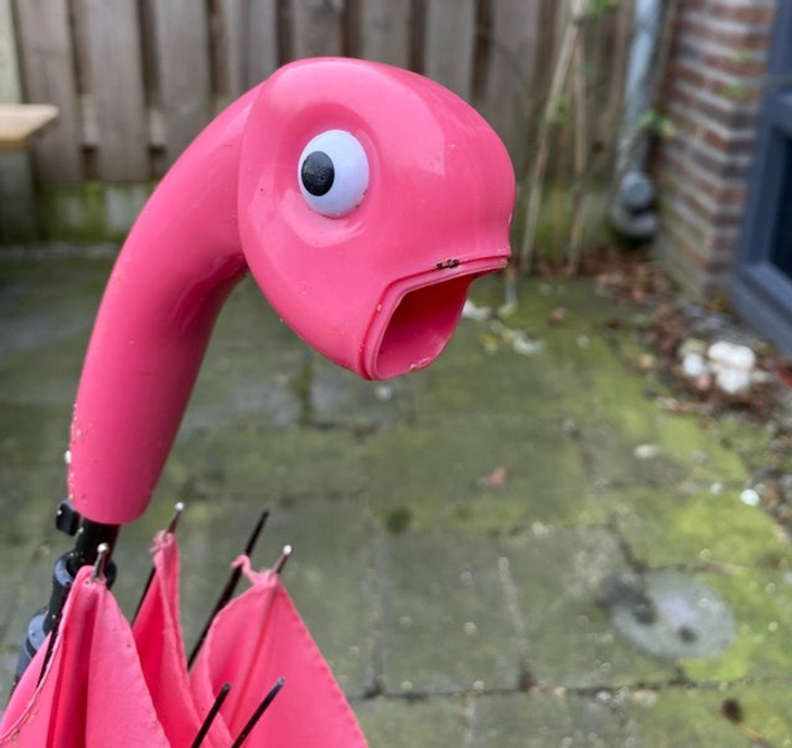 “This broken flamingo umbrella lost its beak and turned into a shocked fish.”