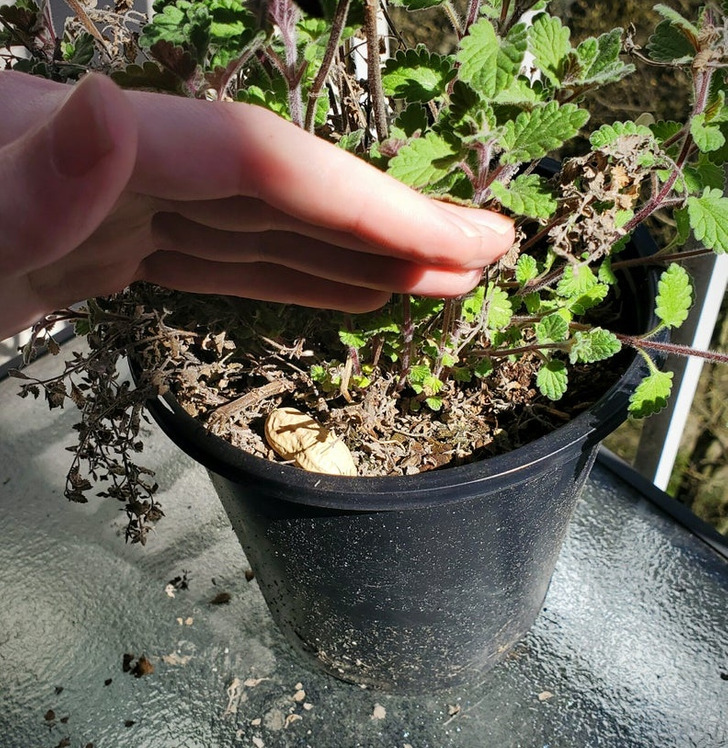 found treasures - flowerpot