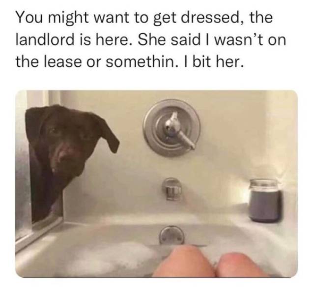 relatable memes - bit a kid meme - You might want to get dressed, the landlord is here. She said I wasn't on the lease or somethin. I bit her.