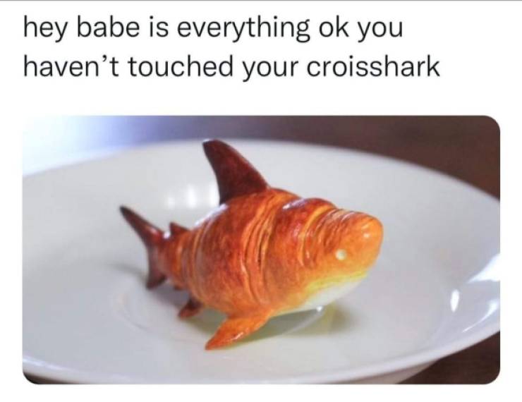 relatable memes - you havent touched your croisshark - hey babe is everything ok you haven't touched your croisshark