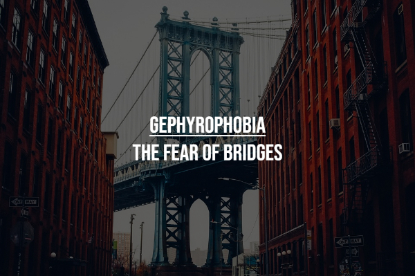 strange phobias - brooklyn bridge park - Gephyrophobia The Fear Of Bridges One Day Xxx