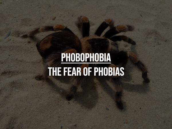 strange phobias - drum and bass arena - Phobophobia The Fear Of Phobias