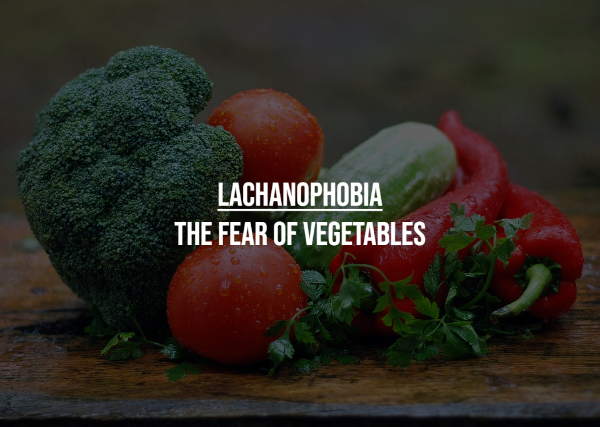 strange phobias - vegetable study - Lachanophobia The Fear Of Vegetables