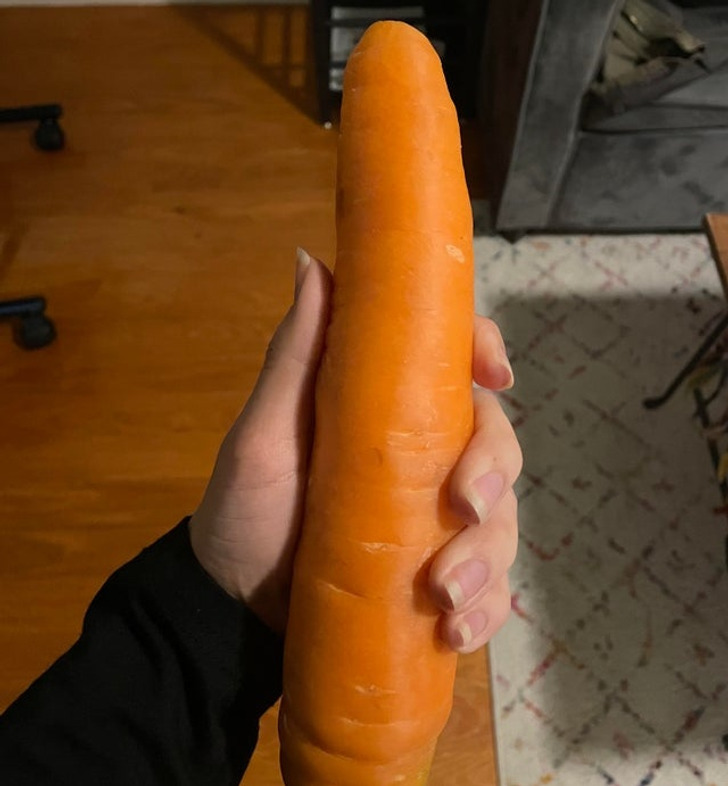 things bigger than you know - Gigantic carrot