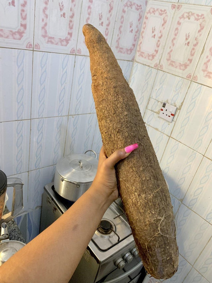 things bigger than you know - This yam is outrageously long