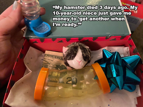 wholesome - uplifting news - toy - My hamster died 3 days ago. My 10yearold niece just gave me money to get another when I'm ready. Isolamh. We Trust