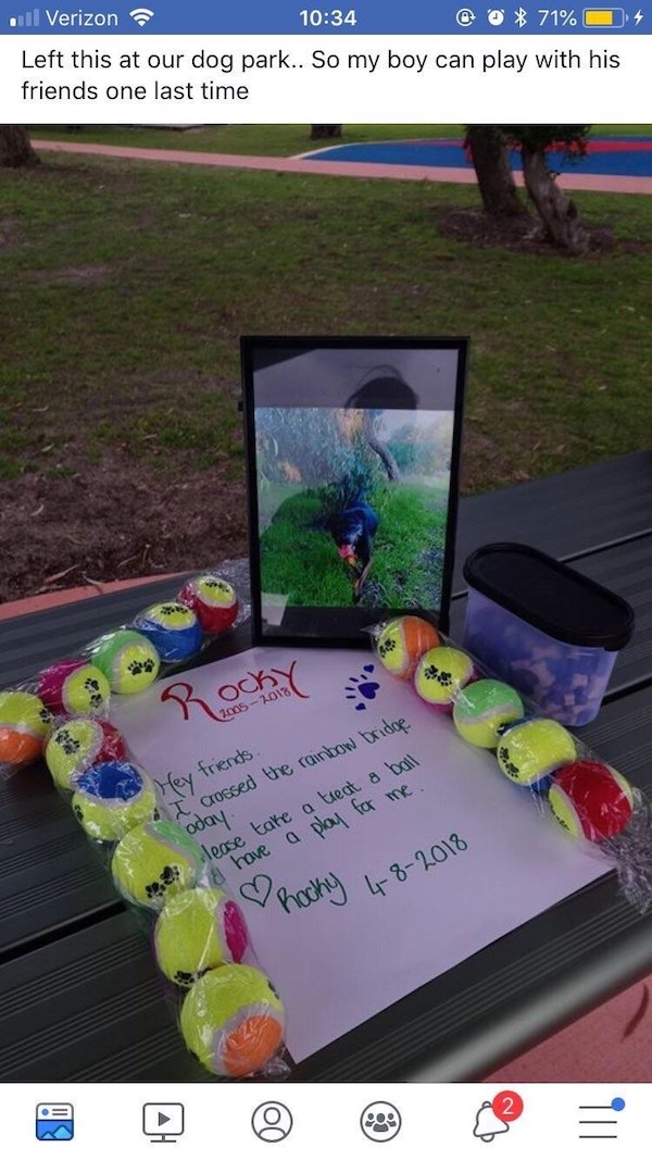 wholesome - uplifting news - memes super sad - . Verizon 71% Left this at our dog park.. So my boy can play with his friends one last time Rocky 2005 2018 Hey friends. I crossed the rainbow bridae oday lease take a treat a ball & have a play for me 22 Roc