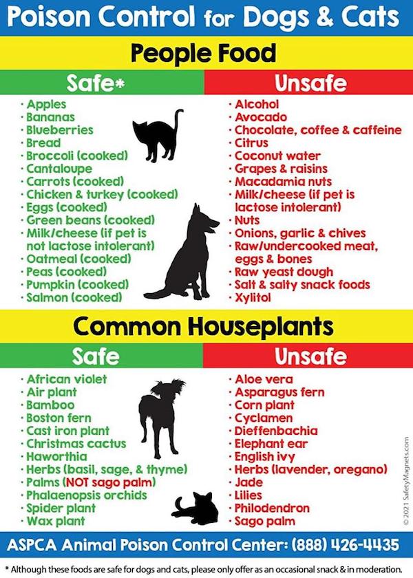 24 Charts Filled With Random Knowledge.