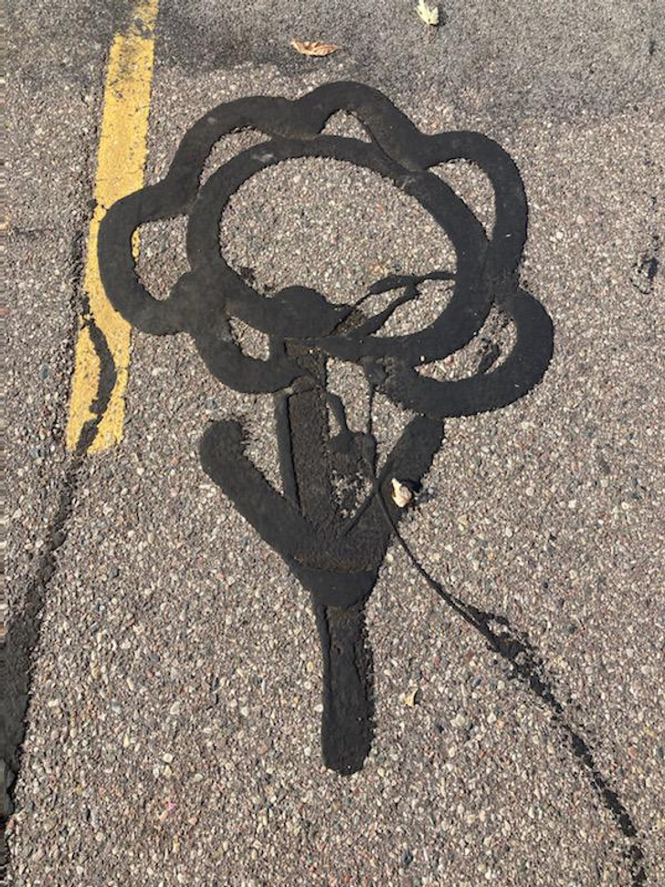 “This crack sealer on the road looks like a flower.”