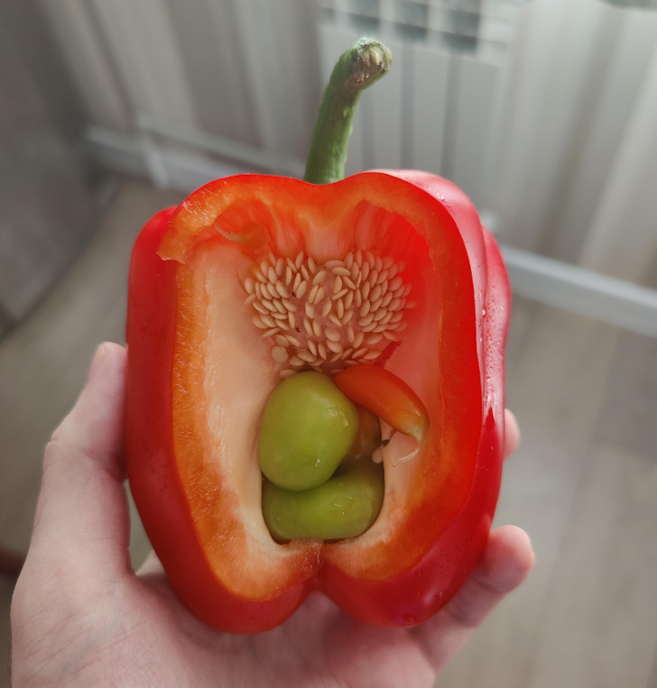 ’’I bought a pepper pregnant with triplets.’’