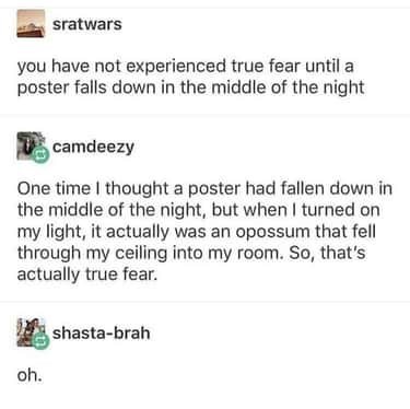 comments that nailed it - funny tumblr posts - sratwars you have not experienced true fear until a poster falls down in the middle of the night camdeezy One time I thought a poster had fallen down in the middle of the night, but when I turned on my light,
