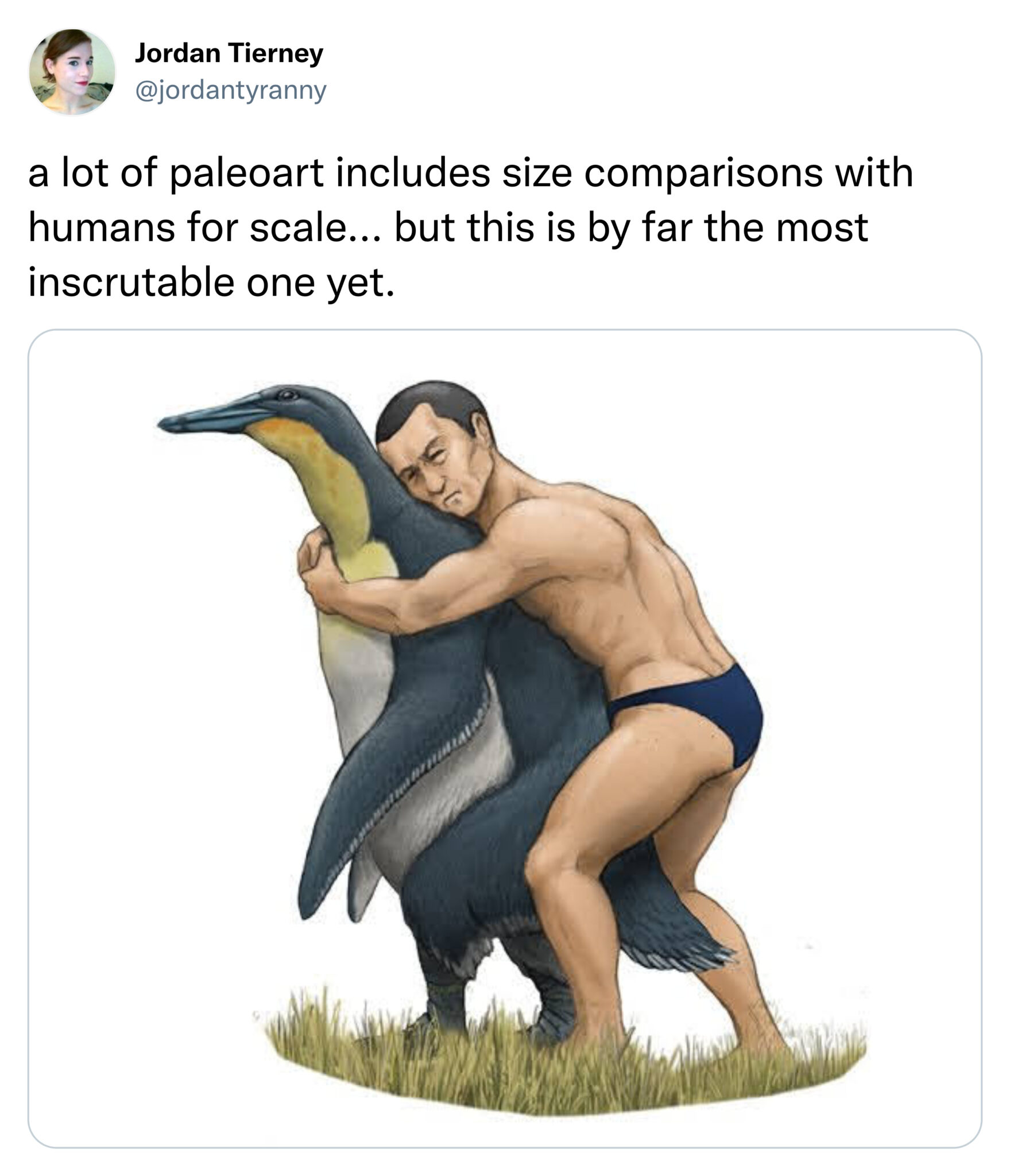 funny tweets - Jordan Tierney a lot of paleoart includes size comparisons with humans for scale... but this is by far the most inscrutable one yet.