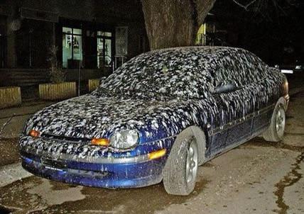 unlucky people - car with lots of bird poop - ei