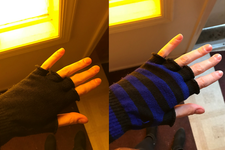 pics to make you double take - This window filters out the exact wavelength of light that my gloves reflect