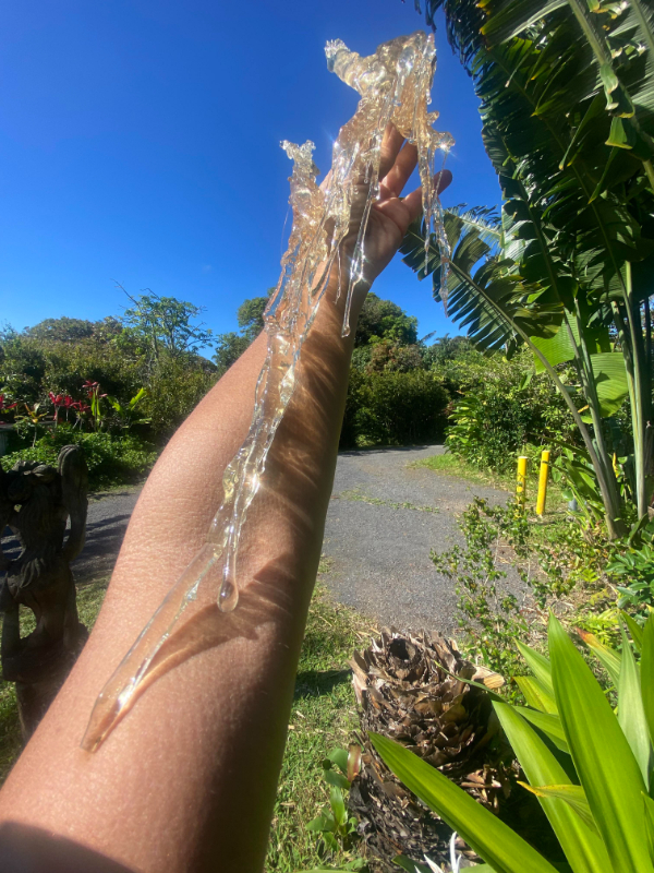 “Beautiful sap formation from a cashew tree.”