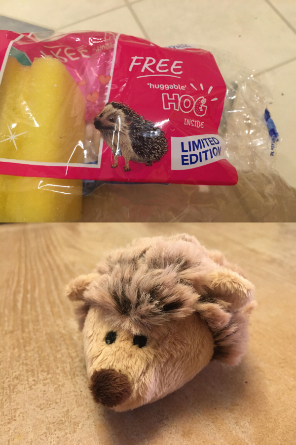 “This packet of sponges came with a free hedgehog.”