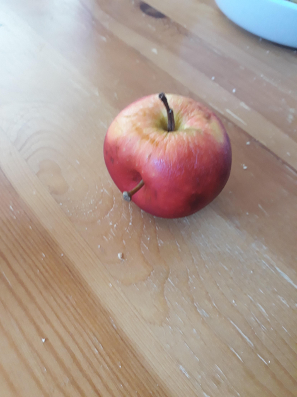 “This apple with two stems that I bought.”