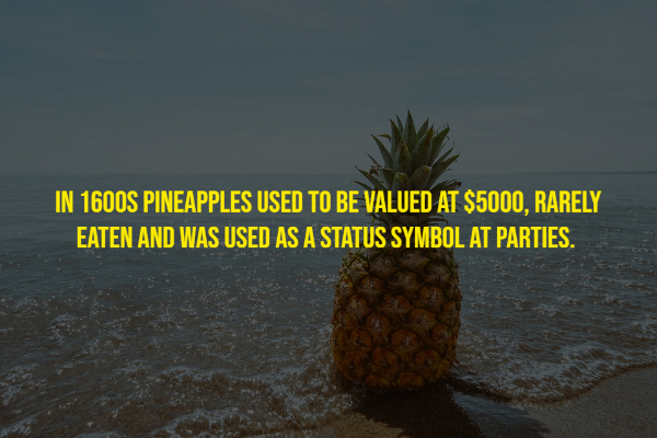 17 Random Facts To Fill Your Head With.