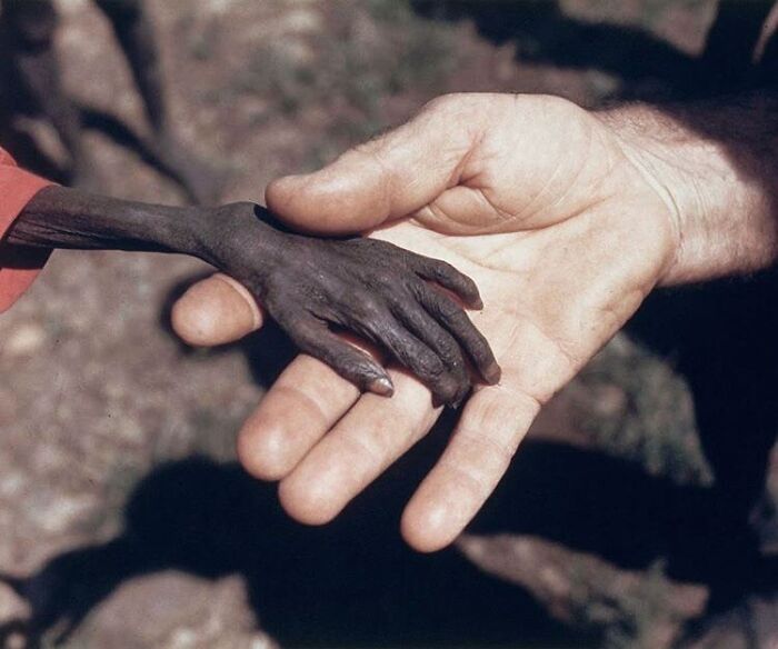 fascinating photos form history  - Hands Of A Starving Boy And A Catholic Missionary // Uganda, 1980. Photograph By Mike Wells