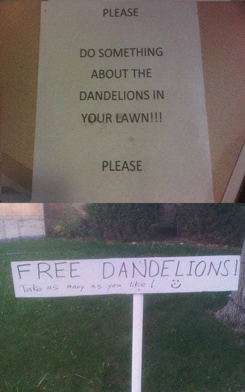 35 Hilarious Acts Of Extreme Pettiness