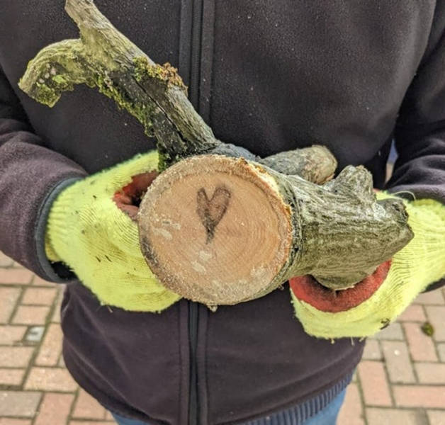 “This morning my stepfather was cutting up a tree that fell down in recent winds and found this heart.”