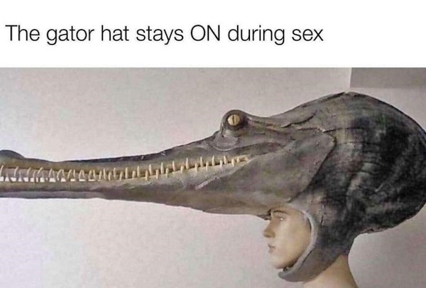 dank and dirty memes - alligator hat stays on during sex - The gator hat stays On during sex La