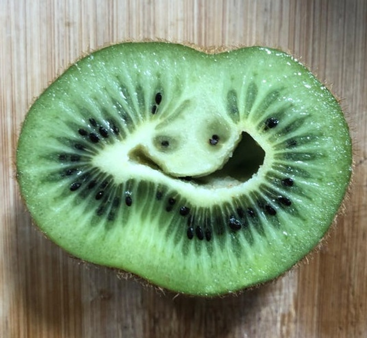 fun randoms - kiwifruit