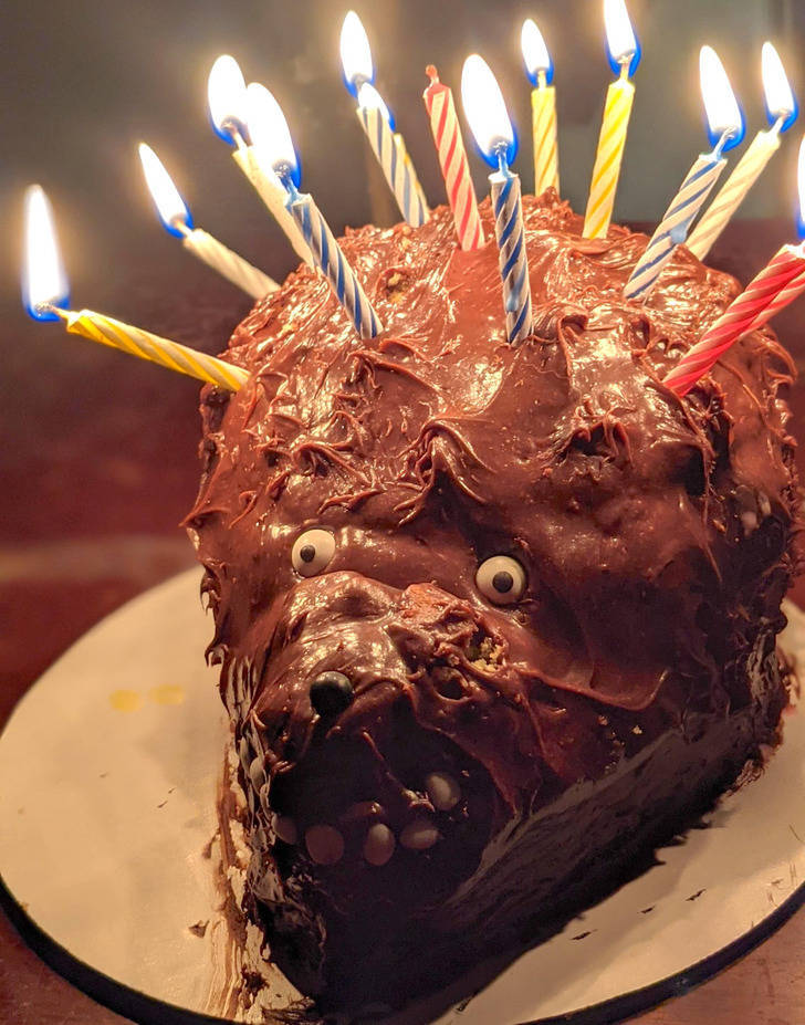funny people - funny photos -  chocolate cake