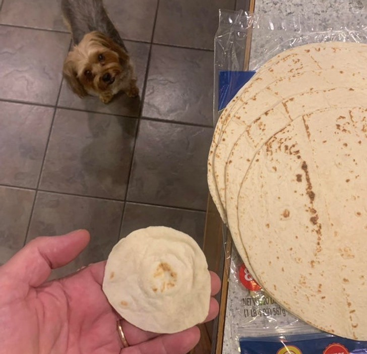 “One of my 8 tortillas”